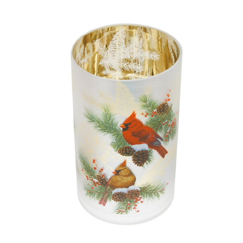 Grand contenant en verre Cardinals