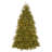 Dunhill Fir Tree with Clear Lights-696159447-696159455