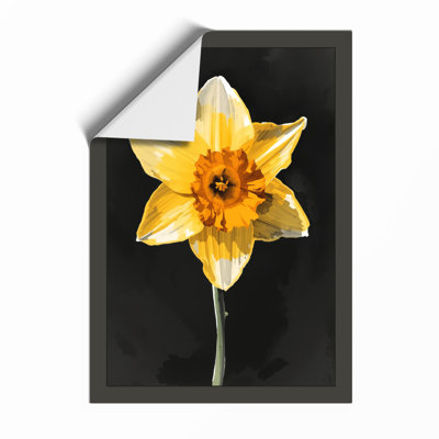 Golden Daffodil Botanical - Framed Print