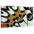 Brampt Butterfly Wing Close Up-107718309