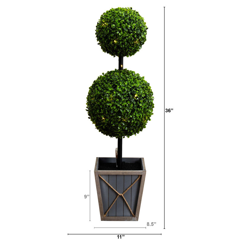 36 plantes