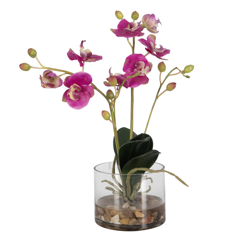 Orchids Arrangement in Vase