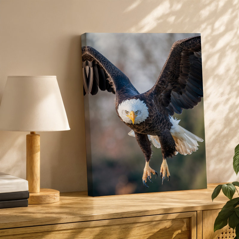 Toile, Aigle chauve majestueux en vol, H 18 po x l 24 po