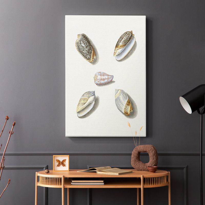 Pastel Knorr Shells III - Cavas enveloppés de galerie, H 18 po x l 12 po