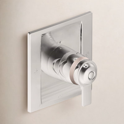 90 Degree ExactTemp Valve Trim with Lever Handle