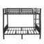 Alyciah Kids-446142295