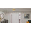 Karnecia 3-Light Gold Leaf Semi-Flush Mount Light