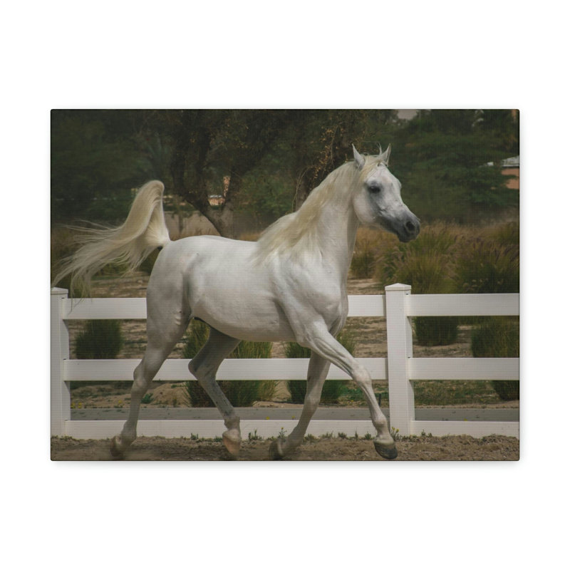 No Frame Print on Canvas, 27.94cm H x 35.56cm W