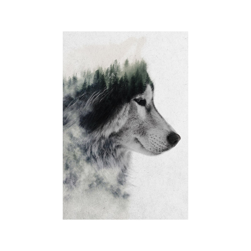 Wolf Stare by Andreas Lie - Print on Canvas, No Frame, 66.04 cm H x 45.72 cm W x 1.91 cm D