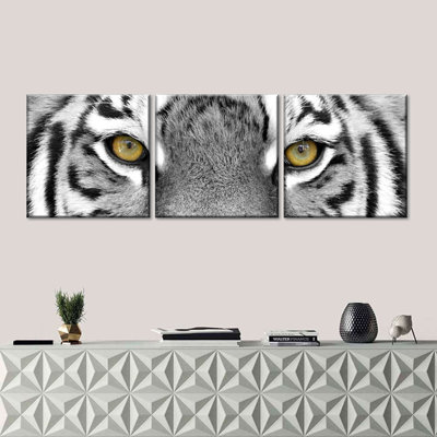 " White Tiger Eyes " 3 - Pieces