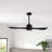 Popovich 52'' Ceiling Fan with LED Lights-2048101143