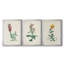 Traditional Botanical I - Toile tendue avec châssis sur mesure - 3 pièces-398857166-398857152