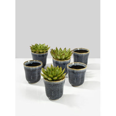Perkins Ceramic Pot Planter