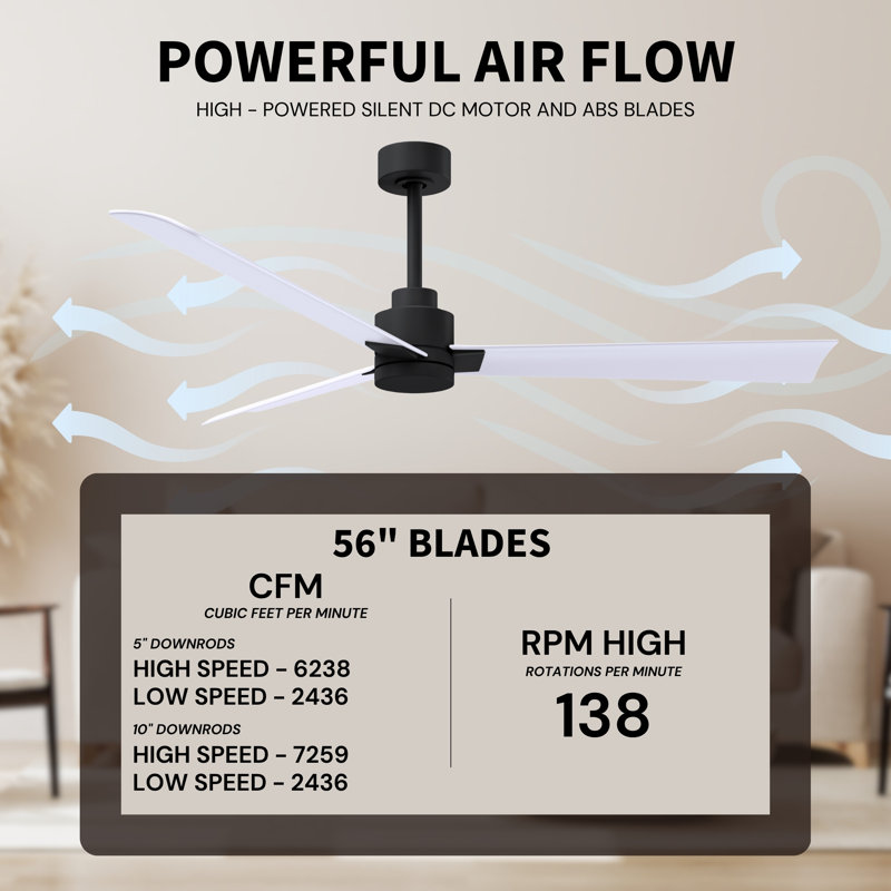 Alessandra Outdoor Downrod Ceiling Fan, Matte White, Matte Black