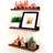 3 Piece Walnut Floating Shelf