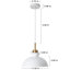 Luminaire suspendu simple à 1 lumière Gibran-1321599024