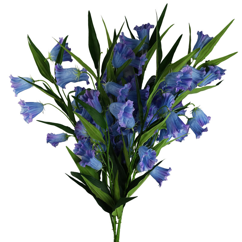 Antiqua Arrangement