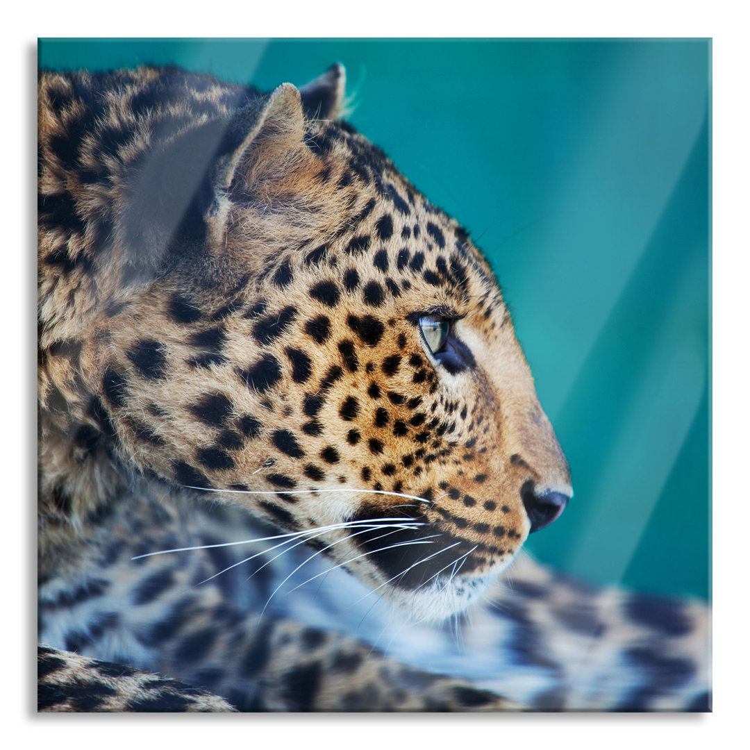 Glasbild Wachsamer Gepard