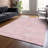  Machine Washable Indoor/Outdoor Chayden ACN1048 Rug-2031151055