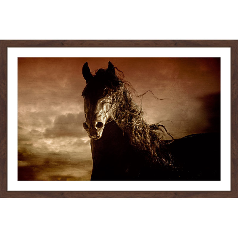 «Friesian Fire», reproduction encadrée, H 16 po x l 24 po x P 1,5 po