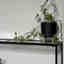 Photos des clients 2 de 2