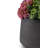 Artful Interiors Mini Sedum Arrangement