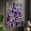 «Purple Dream I», reproduction encadrée - bois massif-2053723306