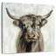 Vache highland, brun-109220977