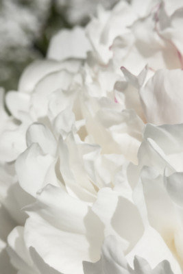 Wrapped Canvas Print, 50.8 cm H x 76.2 cm W