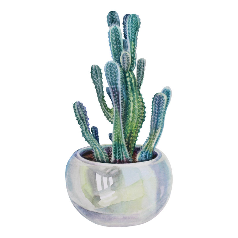 Green Succulent Cactus by Natalia Kunashova - Wrapped Canvas Print, 122cm H x 122cm W