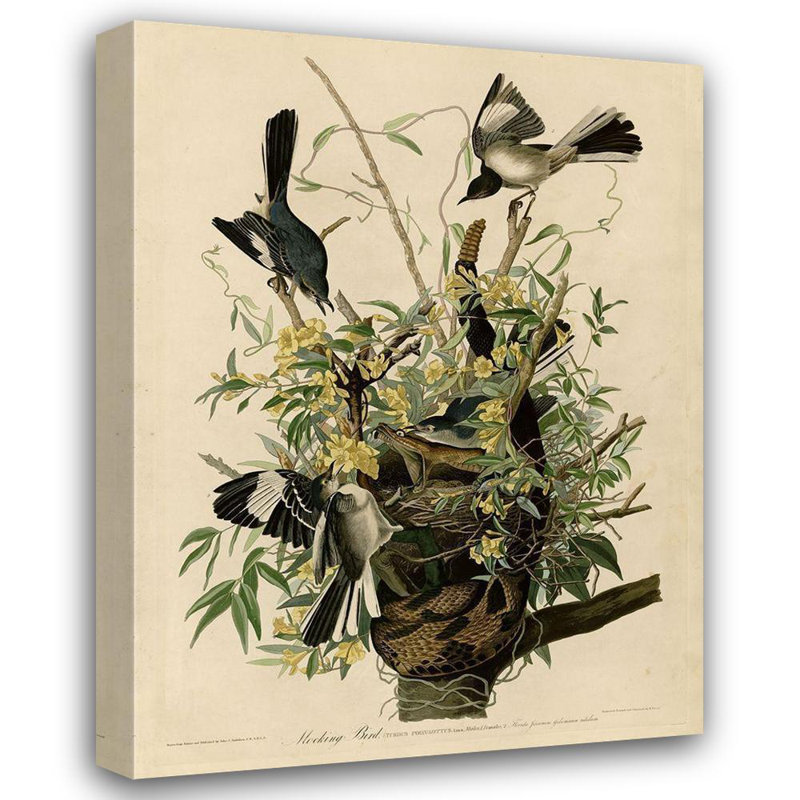 Art sur toile de la collection Winston Porter, collection Apple Vintage