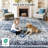 Oriental Inspired Vintage Machine Washable Area Rug with Non-Slip Backing for High Traffic Area, Living Room, Bed Room, Kitchen, Hallway, Entryway Rug-1100119458