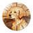 Chien
