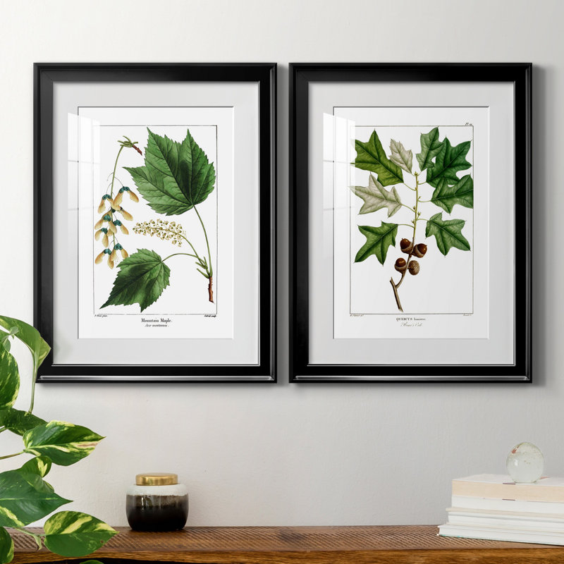 " Mountain Maple " 2 - Pieces, Black Framed Paper, White, 22.5" H x 61" W x 1.5" D