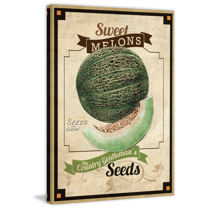 Seed Packet Melon - Wrapped Canvas Print, 46 cm H x 30 cm W