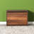 Stylish Shoe Cabinet in Oslo Walnut, 23.6 x 16.5 x 11.8 inches | 100% Melamine Coated Particle Board, Thickness: 0.6 inches | Wall-Mountable Design with Numerous Shelves | Perfect for Modern Entryways & Hallways-343610577