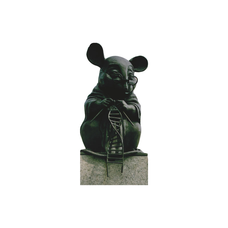 SP13566 Lab Mouse