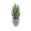 Ceramic Pot Planter