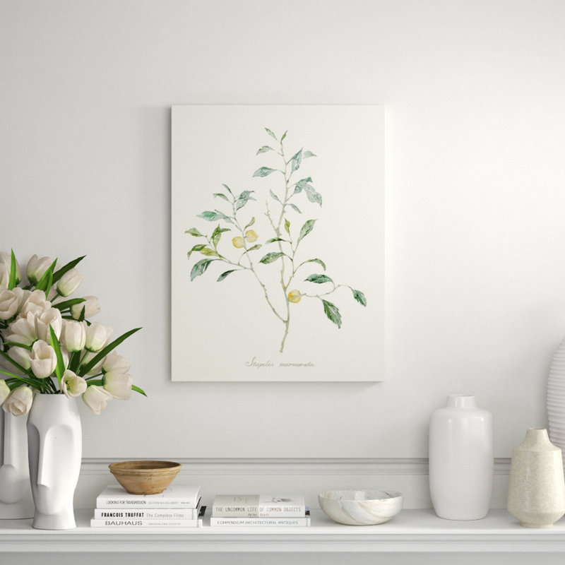 Herb Garden IV Print by Sara Brown, Glass Coat, 52" H x 40" W x 1.5" D