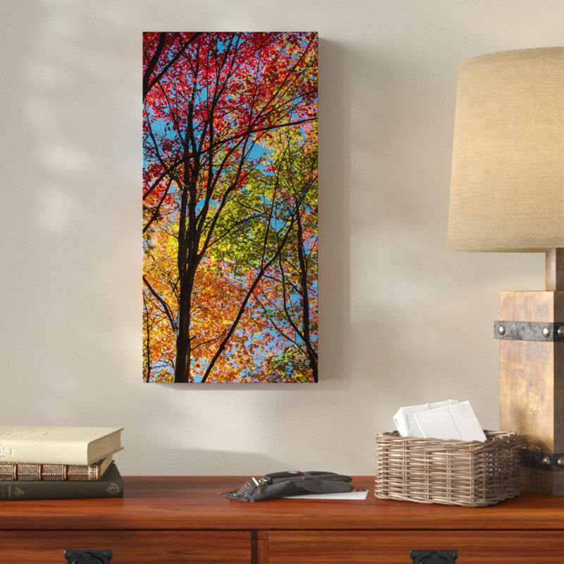 « color blend », reproduction de photo sur toile tendue, H 47 po x l 24 po x P 2 po