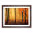 Walnut Framed