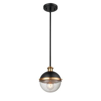 1 - Light Single Pendant