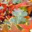 AUTUMN FOREST 183cm Faux Garland