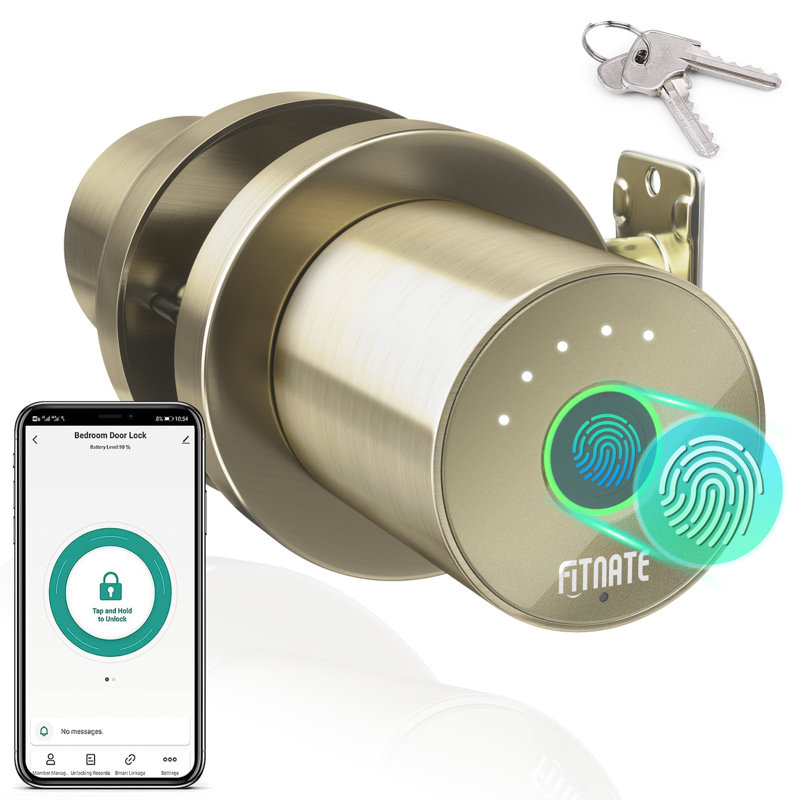 Serrure de porte biométrique intelligente