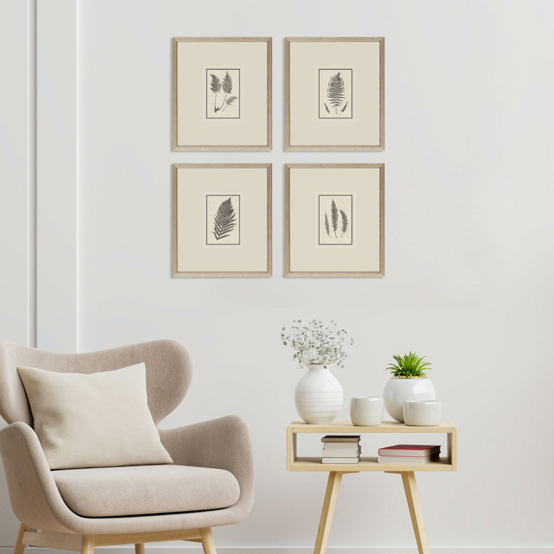 Petite Ferns Print