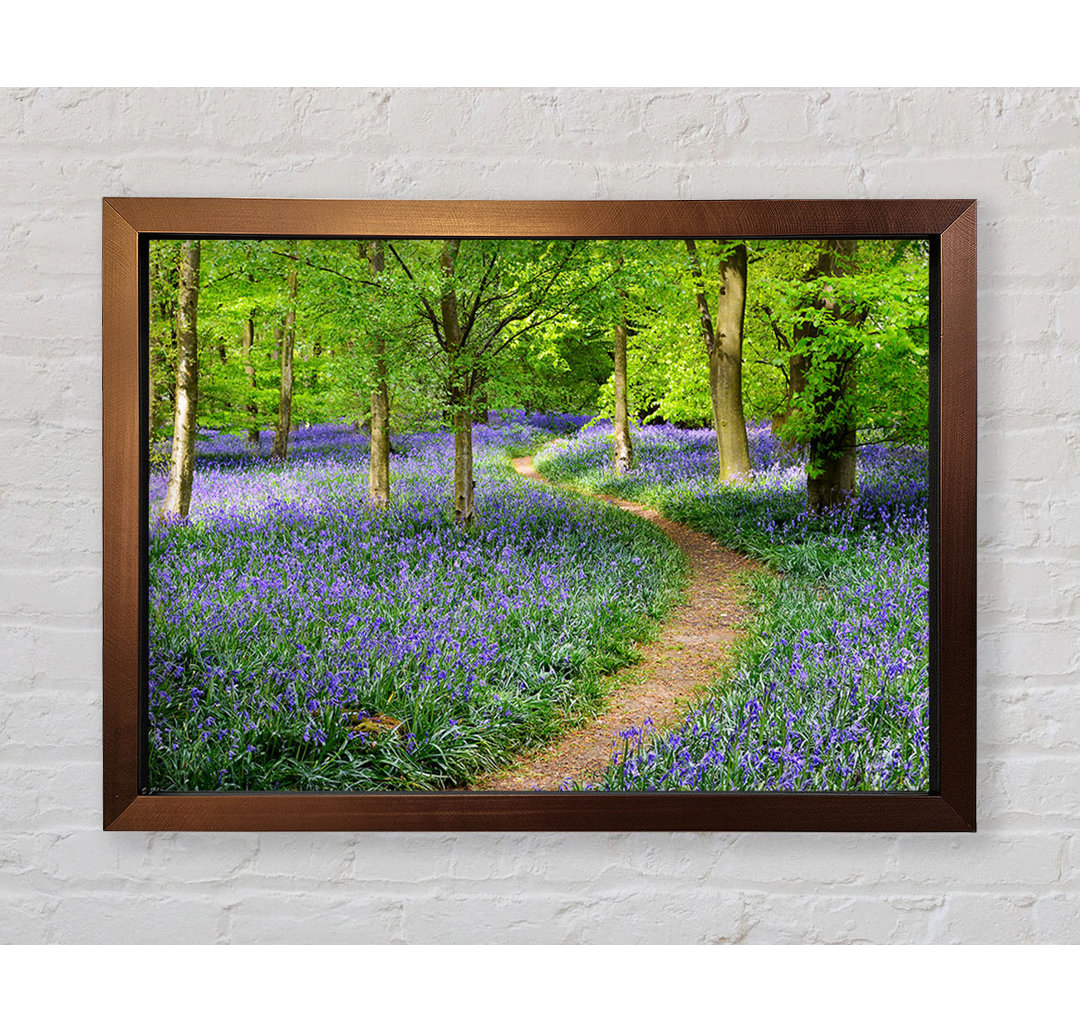 Spaziergang durch den Bluebell Path - Drucken