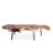 Solid Wood Top Coffee Table