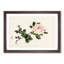 Pink Peony Flower by Kono Bairei - Picture Frame Painting Print-55769779-55769778