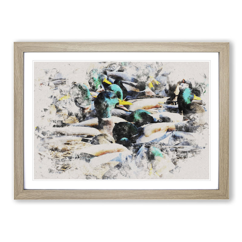 Mallard Ducks - Picture Frame Graphic Art, 48cm H x 65cm W x 2cm D, Oak Framed