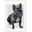 « french bouledogue king », reproduction d’art encadrée-18743330
